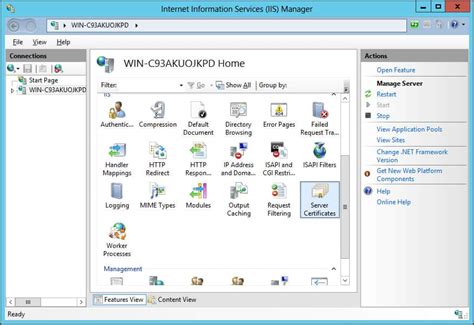IIS Windows Server.